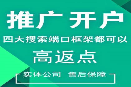 大数据分析在竞价广告中的应用